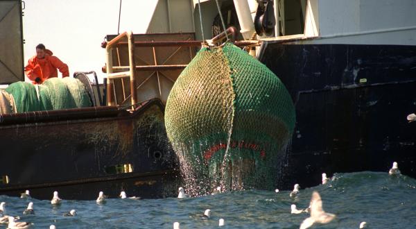 Dänisches Industriefischereischiff Alleroe beim Einholen der Netze, Nordsee.