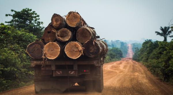 LKW mit Holz im Bundesstaat Amazonas