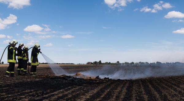 Flächenbrand in OstdeutschlandBrandbekämpfung eines Flächenbrandes auf einem Acker bei Thallwitz, Sachsen.