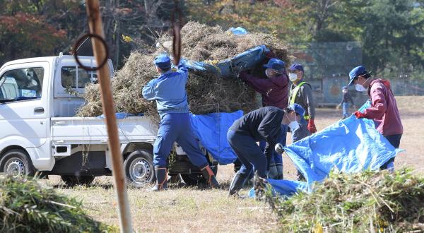 Arbeiter beim Dekontaminieren der Strahlung auf einem Schulhof in Namie, Fukushima