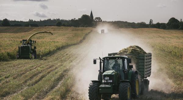 Mais-Noternte auf ökologischem Betrieb nach geringem Niederschlag