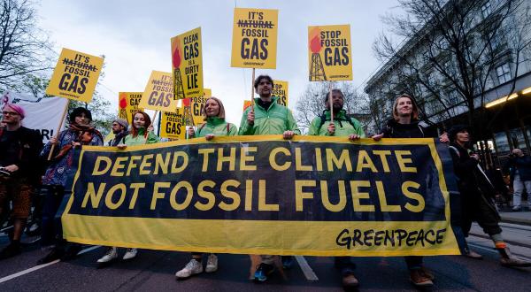 Protest March against Gas Industry in Vienna