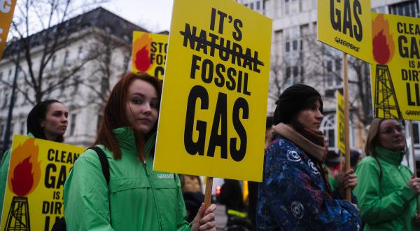 Protest March against Gas Industry in Vienna