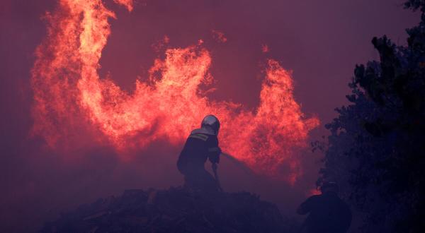 Waldbrand, davor ein Mensch