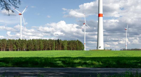 Windpark bei Petkus