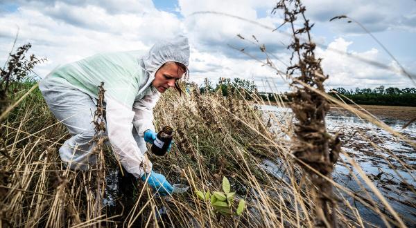 Greenpeace untersucht Böden und Wasser in deutschen Hochwassergebieten