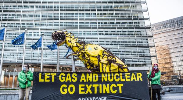 Aktivist:innen von Greenpeace Belgien stellen einen riesigen "Taxonosaurus"-Dinosaurier vor dem Sitz der Europäischen Kommission und des Europäischen Rates in Brüssel auf, um gegen die mögliche Aufnahme von fossilem Gas und Atomenergie in die "Taxonomie" der EU zu protestieren.