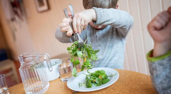 Dokumentation der Zubereitung von Bio-Mahlzeiten in einem Kindergarten in Altona, Hamburg. Die Mahlzeiten, Frühstück und Mittagessen, werden in einer Küche vor Ort zubereitet. Die Kinder helfen bei der Zubereitung und dem Servieren der Speisen und essen dann gemeinsam in Gruppen.