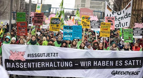 Demonstrationszug "Wir haben es satt"