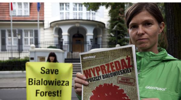 Protest für den Bialowieza-Urwald vor der polnischen Botschaft in Berlin 08/12/2010