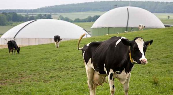 Deutschlands erstes Bioenergiedorf Jühnde, Juni 2006