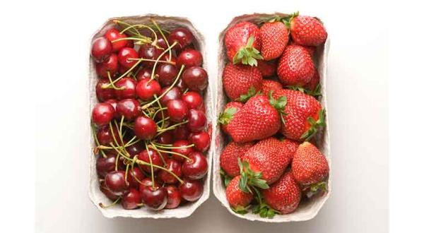 Kirschen und Erdbeeren, Juni 2009