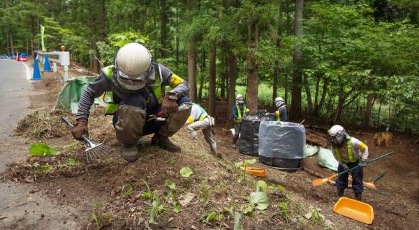 In einem Waldstück an einer Straße hocken Arbeiter. Sie tragen Schutzanzüge und Helme und haken kontaminierte Erde vom Boden.