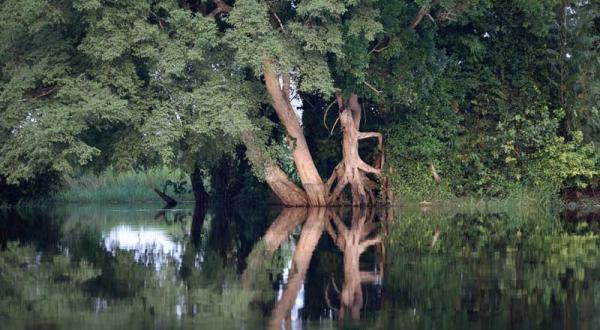 Impressionen vom Fluss Lukenie in der Demokratischen Republik Kongo, Januar 2007