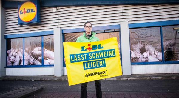 Aktivisten überdecken die Fensterscheiben einer Lidl-Filiale in Nürnberg mit Fotos von Schweinen aus Massentierhaltung, im Vordergrund ein Banner: Lidl lässt Schweine leiden.