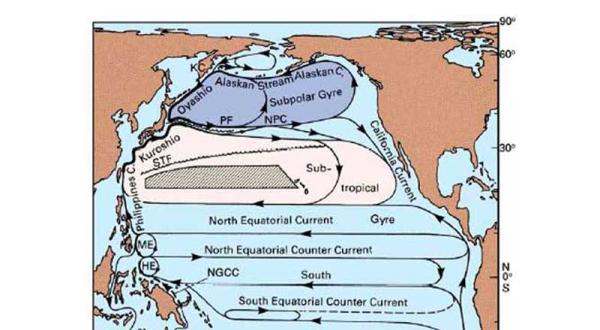Nordpazifikströmungen 2011