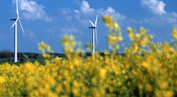 Windkraftanlage hinter einem Rapsfeld, Mai 2003