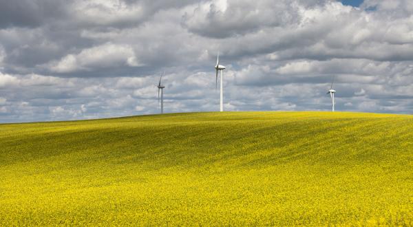 Windpark Bietikow bei Prenzlau, Mai 2012