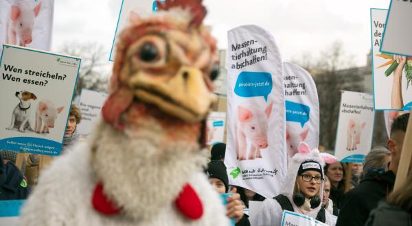 "Wir haben es satt!"-Demo in Berlin