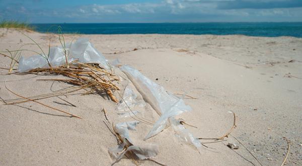 Plastikplane am Strand