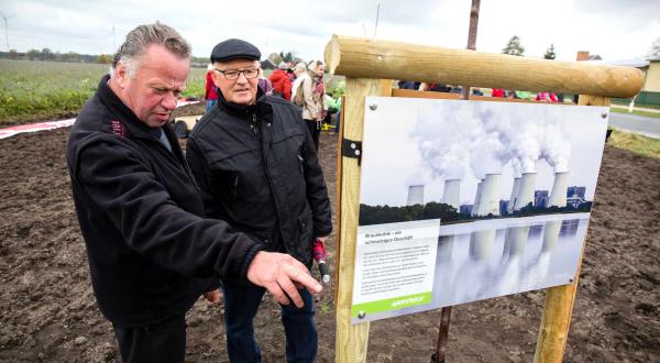 Ausstellungstafel an Baumpfosten