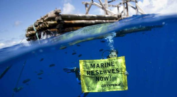 Greenpeace-Taucher unter einem Fischsammler (FAD) im Pazifik im September  2009