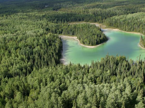 Kanadischer Urwald aus der Luftperspektive 