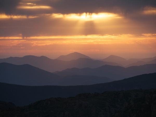 Horizont über dem Regenwald in Tasmania