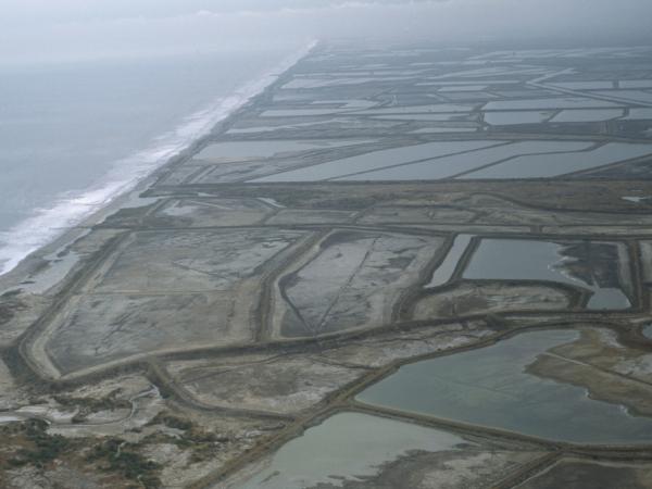 Shrimp Farming in Ecuador