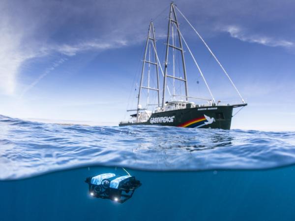 Die Rainbow Warrior und ein "Remote Operated Vehicle" (ROV) im Einsatz