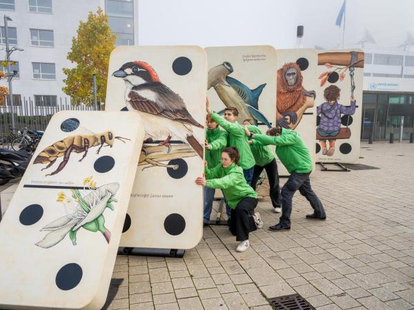 Greenpeace-Aktive stemmen sich gegen Dominosteine mit Arten drauf, die umzukippen drohen