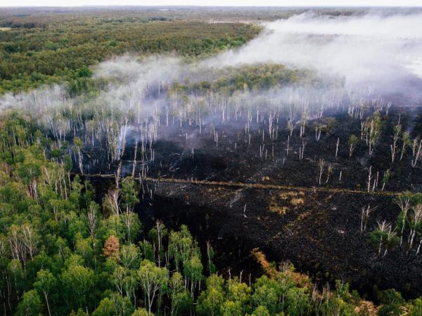 Aerials of Forest Fire in Brandenburg, Germany