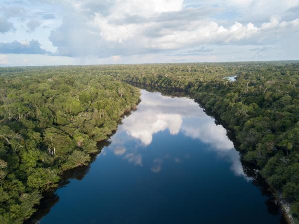 Manicoré-Fluss im Amazonasregenwald, Luftbild