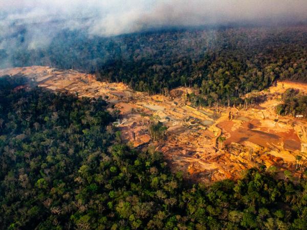 Illegal Mining in the Sararé Indigenous Land in the Amazon