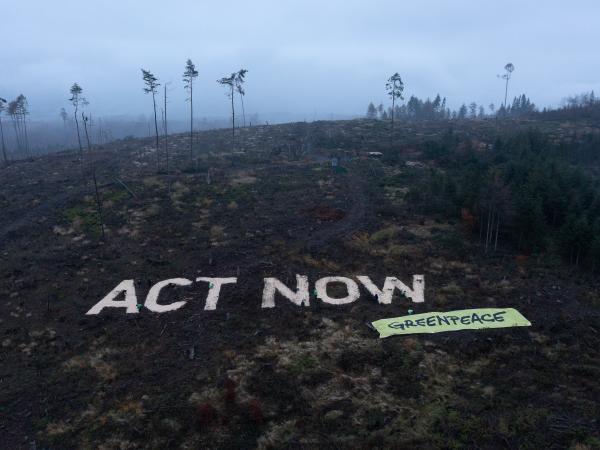 ACT NOW aus Sägespänen im Wald