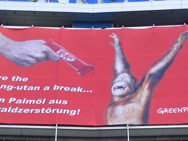 Für das Palmöl in Kitkat sterben in Indonesien Urwälder und Orang-Utans 04/15/2010