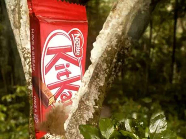 Screenshot vom Greenpeace Kitkat-Video