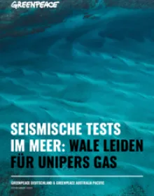 Seismische Tests im Meer Wale leiden für Unipers Gas