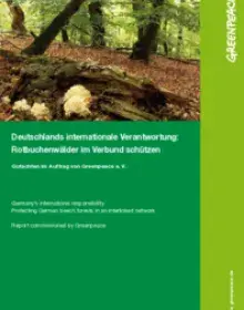 Greenpeace-Gutachten: Rotbuchenwälder im Verbund schützen (Langfassung)