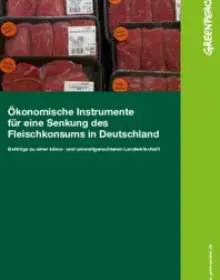 Studie: Ökonomische Instrumente für eine Senkung des Fleischkonsums