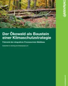 Der Ökowald als Baustein einer Klimaschutzstrategie