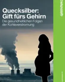 Quecksilber: Gift fürs Gehirn