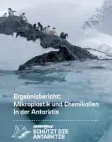 Ergebnisbericht: Mikroplastik und Chemikalien in der Antarktis