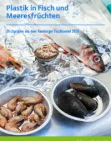 Report: Plastik in Fisch und Meeresfrüchten