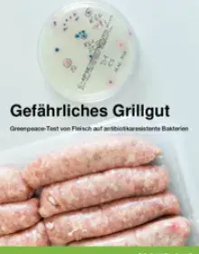 Ergebnisse eines Stichproben-Tests von Fleisch auf antibiotikaresistente Keime