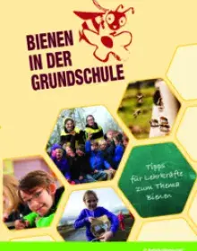 Bienen in der Grundschule