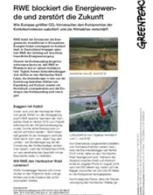 RWE zerstört die Zukunft.pdf