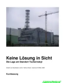 Keine Lösung in Sicht - Die Lage am Standort Tschernobyl (Kurzfassung)