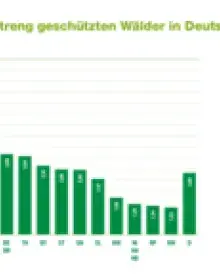 Anteil streng geschützter Wälder in Deutschland