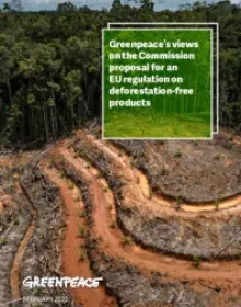 greenpeace-briefing-eu-commission-deforestation-law